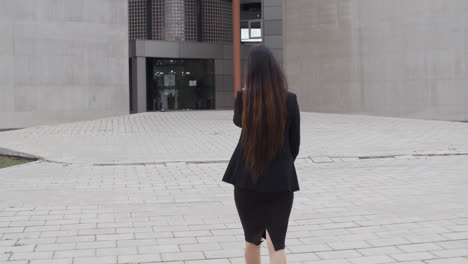 Rear-view-of-a-stylish-businesswoman