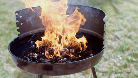 Blazing-fire-in-a-portable-barbecue