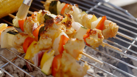 Delicious-chicken-and-vegetable-kabobs-on-grill
