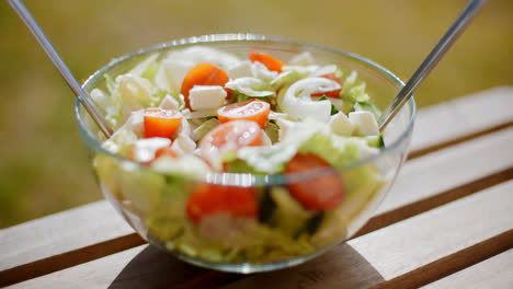Schüssel-Frischer-Gemischter-Grüner-Salat