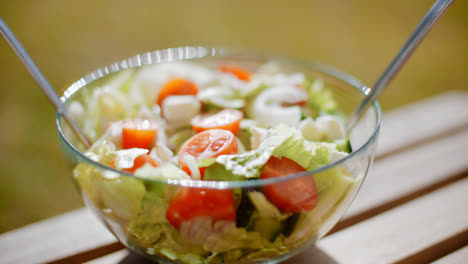 Schüssel-Frischer-Gemischter-Grüner-Salat