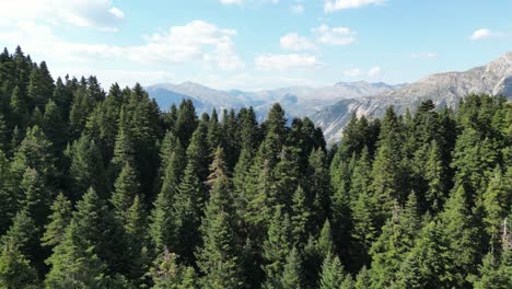 Green-Forest-and-Mountains-in-Tzoumerka-National-Park,-Ioannia,-Epirus,-Greece---Aerial