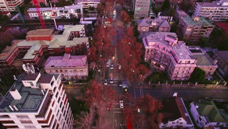 Aerial-shot-overhead-Pedro-de-Valdivia-Avenue-at-sunset-with-autumnal-trees