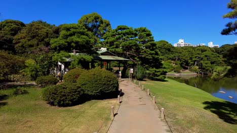 El-Hermoso-Parque-En-Tokio