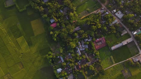 Luftlandschaftsansicht-Von-Ackerland-Und-Kleinem-Dorf-In-Bangladesch