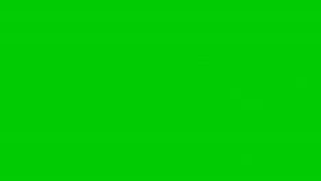 Black-Friday-text-with-Glitch-effect-animation-motion-graphics-green-screen