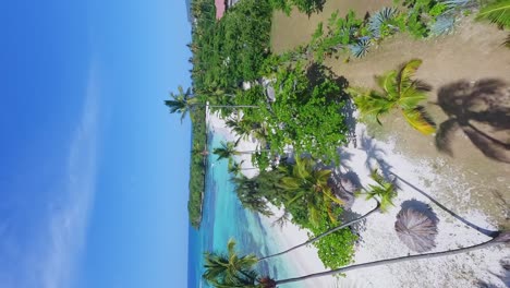 FPV-shot-Of-La-Playita-Beach-in-Las-Galeras,-Samana,-Dominican-Republic---vertical-view