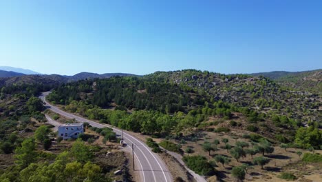 Over-the-road-and-green-Forest-in-Rhodes-with-seaside-in-the-background-in-Greece-during-the-summer-filmed-with-the-drone-in-4K