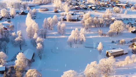 White-trees,-rooftops-and-small-village-in-winter-season,-aerial-view