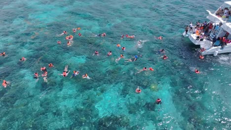 Aerial-top-down-shot-showing-group-of-snorkeler-in-clear-water-of-Caribbean-sea-exploring-underwater-world