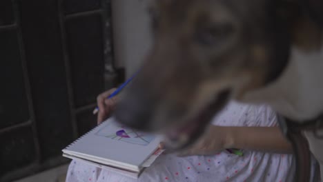 Filmaufnahmen-Einer-Person,-Die-Auf-Einem-Notizbuch-Zeichnet,-Mit-Einem-Hund-Im-Vordergrund-Im-Ländlichen-Goa,-Indien