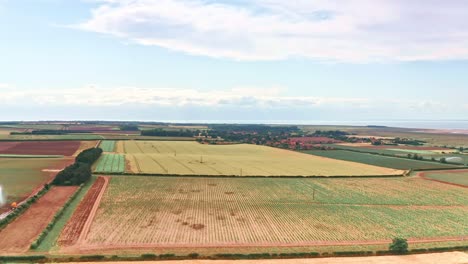 Norfolk-Farm-Fields-Luftdrohne-Fliegt-über-Weizenfelder