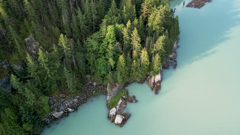 Aerial-descent-of-coastal-pine-trees-in-Howe-Sound,-Squamish,-BC,-Canada