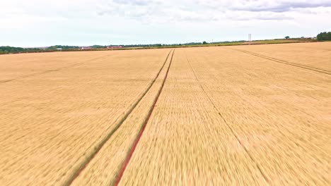 Norfolk-Farm-Fields-Aerial-Drone-fast-low-fly-over-wheat-fields