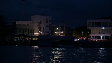 Camera-pans-from-left-to-right,-as-the-pump-boat-is-moving-forward-to-look-fireflies,-in-Amphawa-Floating-Market,-Thailand
