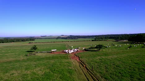Low-Carbon-Agriculture-policy-in-Brazil