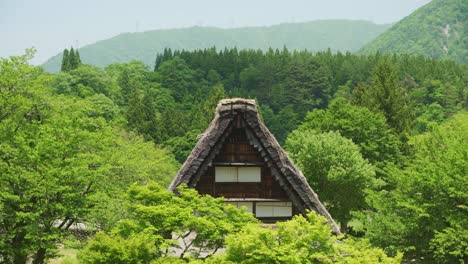 Idyllic-View-Of-Gassho-Thatched-Roof-Surrounded-By-Lush-Green-Foliage-Shirakawago
