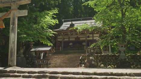 Tourist-Walking-Up-Steps-Of-Shinto-Shrine-In-Forest-Area-In-Shirakawa-go