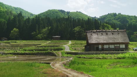 Idyllic-Picturesque-Farmland-View-With-Traditional-Thatched-Village-House-In-Ogimachi-Located-In-Shirakawa-go
