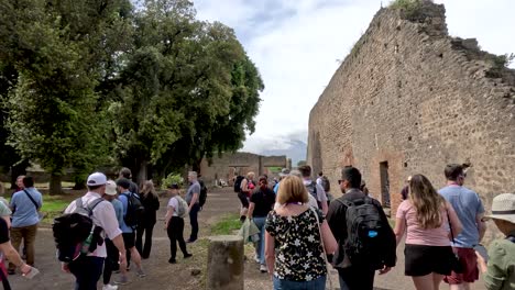 Grupo-Turístico-Paseando-Por-La-Ruina-Del-Muro-En-El-Parque-Arqueológico-De-Pompeya
