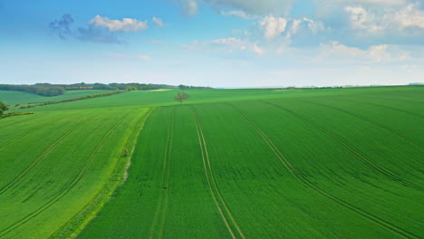 Drohnenvideo-Erfasst-Landwirtschaftliche-Sommerfelder-In-Den-Hügeln-Der-Lincolnshire-Wolds