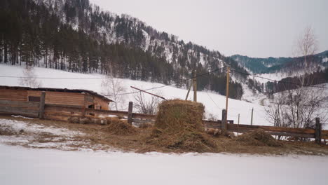 Sheep-barn-with-wooden-fence-and-haystacks-seen-from-window