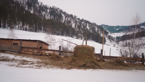 Wooden-barn-with-fencing-near-haystacks-for-feeding-sheep