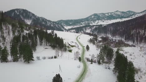 Snowy-slope-with-green-road-after-transporting-fir-trees