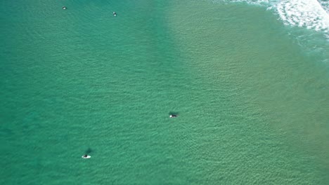 Surfistas-En-Tablas-De-Surf-Flotando-En-El-Mar-Con-Aguas-Cristalinas---Sunshine-Beach,-Noosa,-Queensland,-Australia