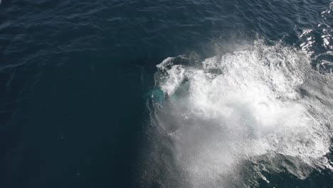 Ballena-Jorobada-Nadando-Y-Girando-En-El-Mar-Azul