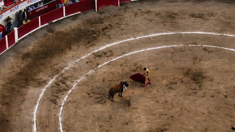 Matador-fighting-a-bull-with-a-red-cloth,-inside-the-Plaza-de-Toros-stadium,-in-Aguascalientes,-Mexico