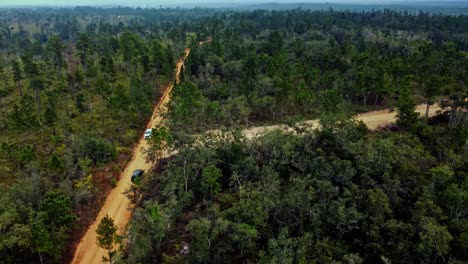 Luftaufnahme-Von-Zwei-SUVs,-Die-Auf-Einer-Unbefestigten-Straße-Im-Mountain-Pine-Ridge-Forest-Reserve-In-Belize-Vorbeifahren