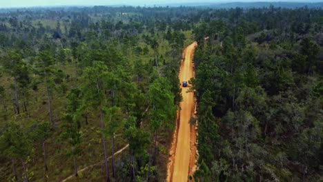 Aerial-following-a-SUV-through-the-tree-tops-on-a-dirt-road-in-Mountain-Pine-Ridge-Forest-Reserve-in-Belize