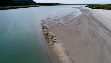 A-fly-over-drone-shot-of-a-large-group-of-wild-seals-on-a-beach-off-the-Oregon-coast