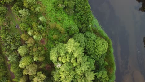 Top-Down-Aerial-View-of-Forest-and-Lake-Pond-in-Valley-in-UK