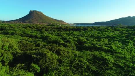 Low-flying-dolly-above-tropical-shrub-dryland-leading-towards-cinder-cone-by-harbor,-curacao