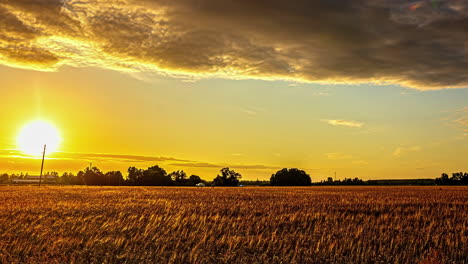 Bright,-golden-sunset-over-farmland-crops---wide-angle-time-lapse