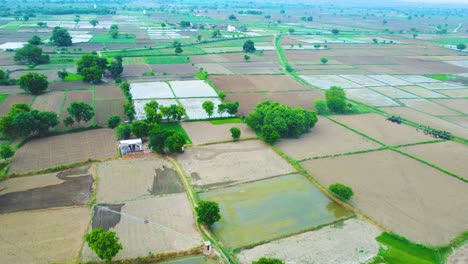 Luftdrohnenaufnahme-Von-Landwirtschaftlichen-Feldern-In-Einem-Ländlichen-Dorf-Im-Norden-Indiens-Während-Des-Monsuns