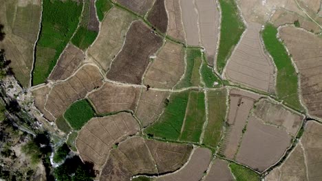 Straight-Down-Aerial-View-Over-Farm-Field