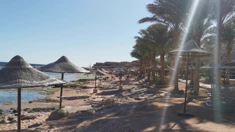 Lots-of-straw-umbrellas-on-a-sandy-beach-near-Red-Sea,-beach-holidays.