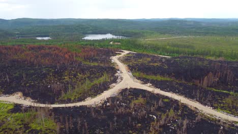 Toma-De-Drone-De-Una-Vista-Del-Bosque-Después-De-Un-Devastador-Incendio-Forestal-En-La-Provincia-De-Québec,-Canadá.