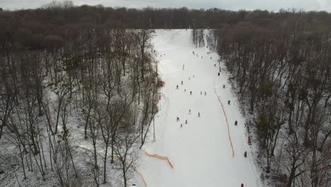 Skiing-sport,-winter-snow.-Trees-in-forest-covered-with-show.-Cold-winter-snowing-weather.-Skiing-resort.-Ukraine,-Kiev