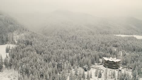 Snowy-Trees-In-The-Forest-With-Lodging-At-The-Base-Of-Tatra-Mountains-In-Winter-In-Zakopane