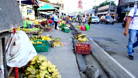 People-selling-fruits-and-vegetables-alongside-of-the-road-with-vehicles-passing-by-and-people-walking-back-and-forth