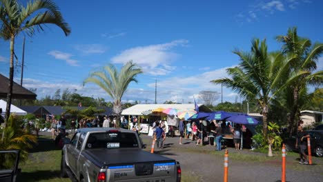 People-walking-around-a-Big-Island-Farmer's-Market