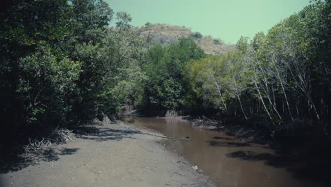 Trockener-Fluss,-Der-Durch-Einen-Mangrovenwald-In-Thailand-Fließt