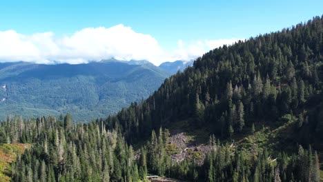 Drone-explores-the-forest-near-Twenty-Two-Lake,-Washington