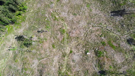Orbital-Drone-Shot-Looking-Down-at-a-Patch-of-Land-Caused-by-Deforestation-with-a-Few-Trees-Standing