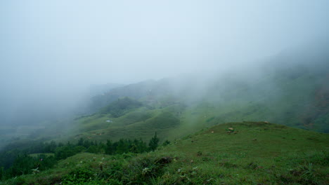 Niebla-De-La-Mañana-En-Pintorescas-Montañas-Tropicales