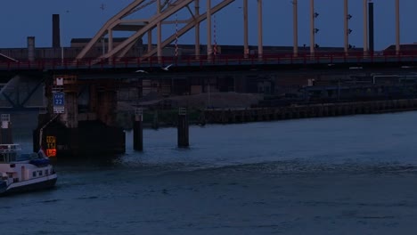 Twilight-skyline-of-Rotterdam,-with-birds-flying-by-river---Cinematic-tracking-shot